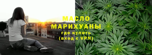 МДПВ Бородино