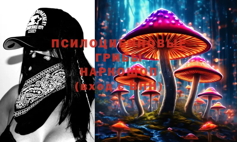 KRAKEN зеркало  цена   даркнет телеграм  Псилоцибиновые грибы MAGIC MUSHROOMS  Урай 